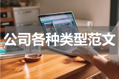 公司各种类型范文