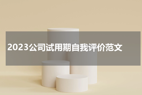 2023公司试用期自我评价范文