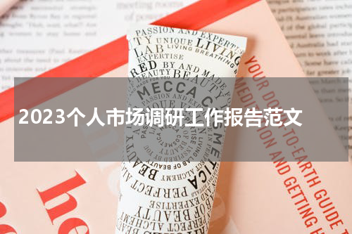 2023个人市场调研工作报告范文
