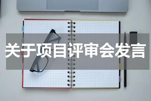 关于项目评审会发言