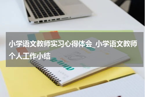 小学语文教师实习心得体会_小学语文教师个人工作小结