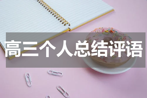 高三个人总结评语