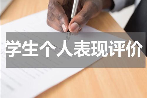 学生个人表现评价
