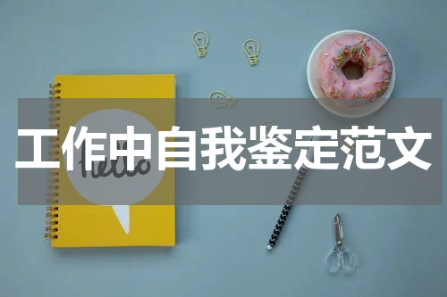 工作中自我鉴定范文