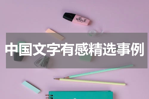 中国文字有感精选事例