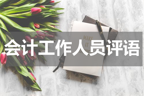 会计工作人员评语