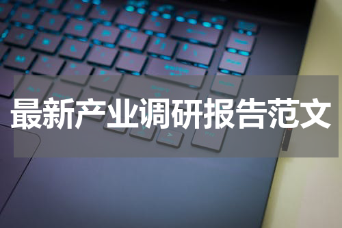 最新产业调研报告范文