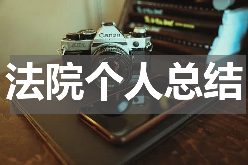 法院个人总结