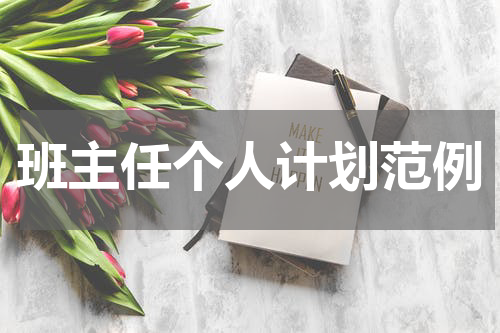 班主任个人计划范例