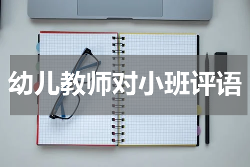 幼儿教师对小班评语