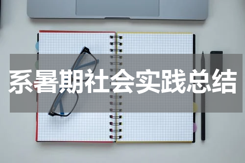系暑期社会实践总结