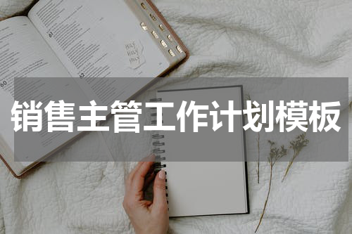 销售主管工作计划模板