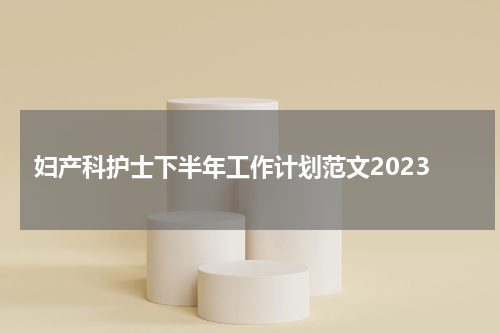 妇产科护士下半年工作计划范文2023