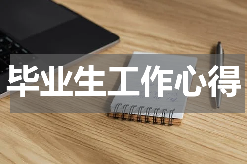 毕业生工作心得