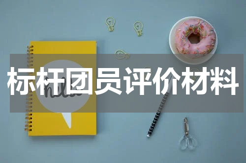 标杆团员评价材料