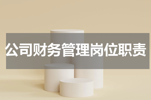 公司财务管理岗位职责