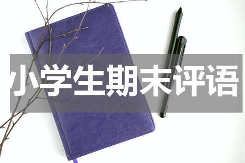 小学生期末评语