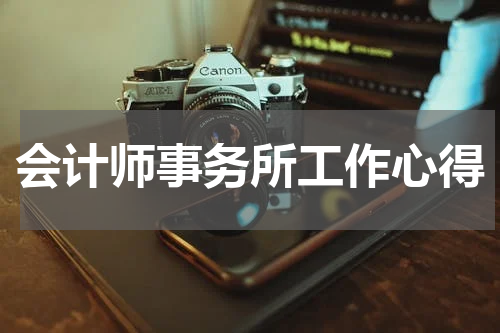 会计师事务所工作心得