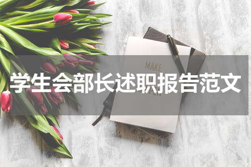学生会部长述职报告范文