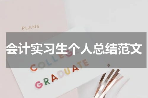会计实习生个人总结范文