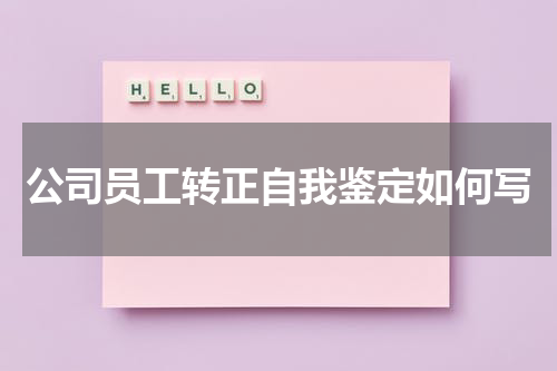 公司员工转正自我鉴定如何写