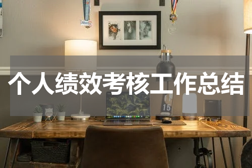 个人绩效考核工作总结