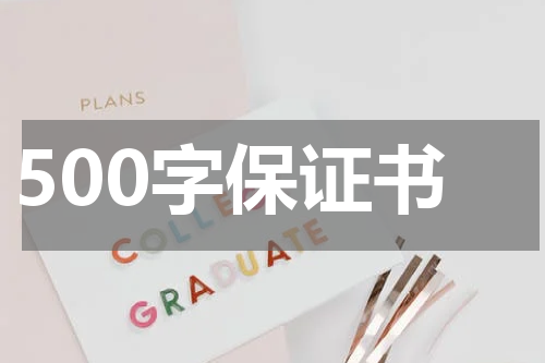 500字保证书