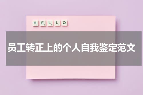 员工转正上的个人自我鉴定范文
