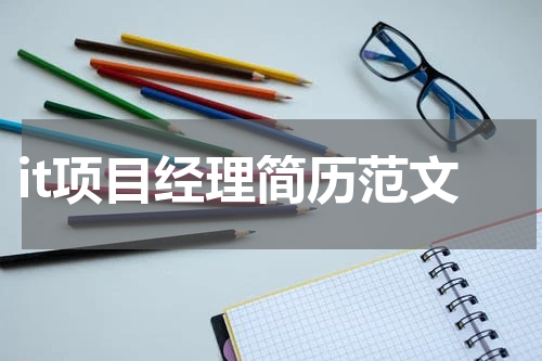 it项目经理简历范文