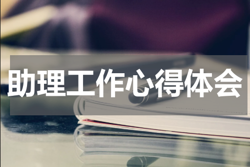助理工作心得体会
