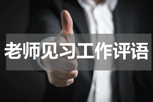 老师见习工作评语