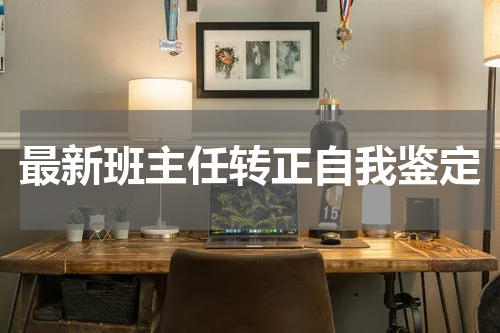 最新班主任转正自我鉴定