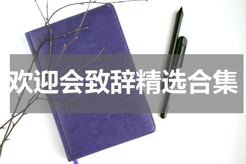 欢迎会致辞精选合集