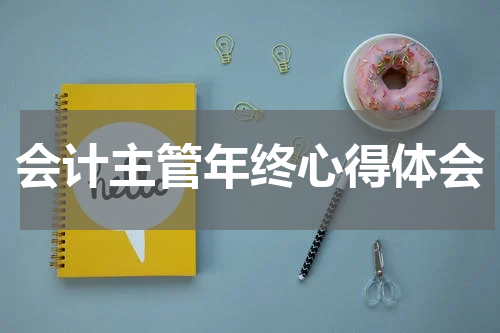会计主管年终心得体会