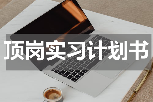 顶岗实习计划书