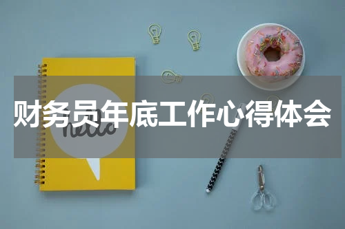 财务员年底工作心得体会