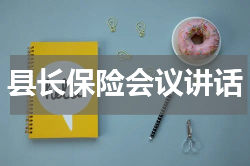 县长保险会议讲话