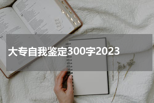 大专自我鉴定300字2023
