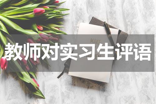 教师对实习生评语