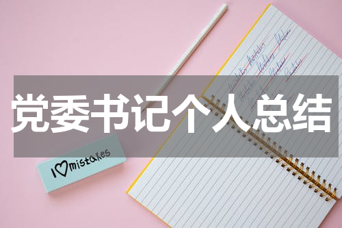 党委书记个人总结