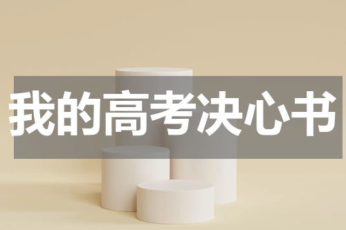 我的高考决心书