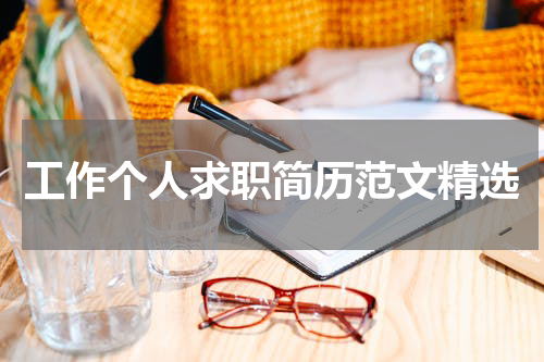 工作个人求职简历范文精选