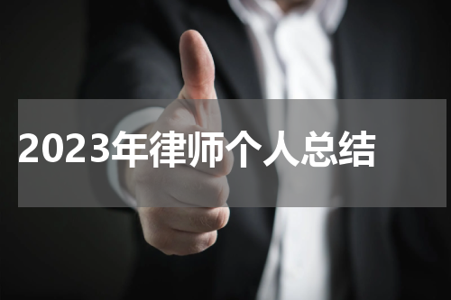 2023年律师个人总结