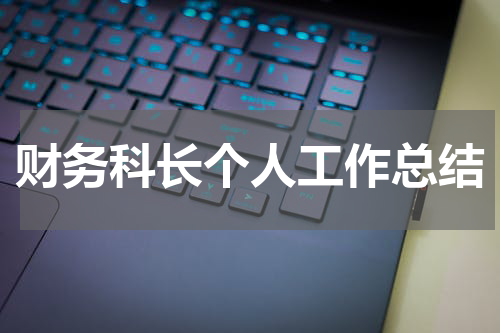 财务科长个人工作总结