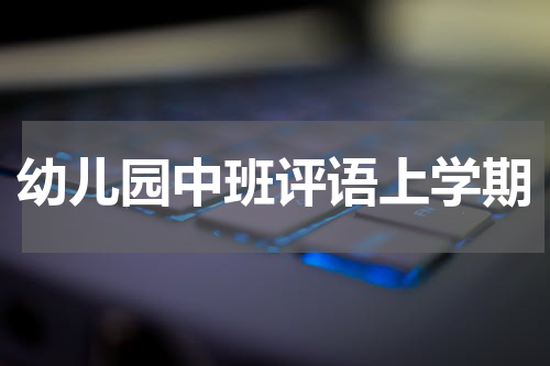幼儿园中班评语上学期