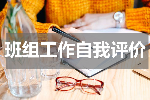 班组工作自我评价