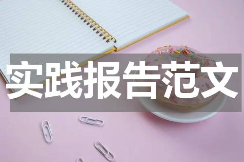 实践报告范文