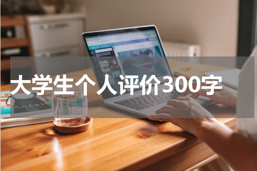 大学生个人评价300字