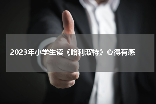 2023年小学生读《哈利波特》心得有感