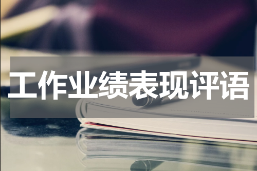 工作业绩表现评语